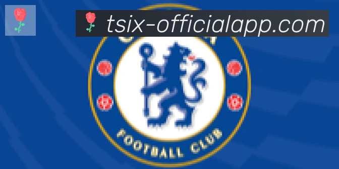 6t体育合作伙伴
